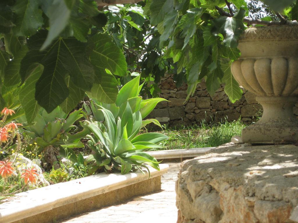 Casa Veneri Bed & Breakfast ซัลเว ภายนอก รูปภาพ